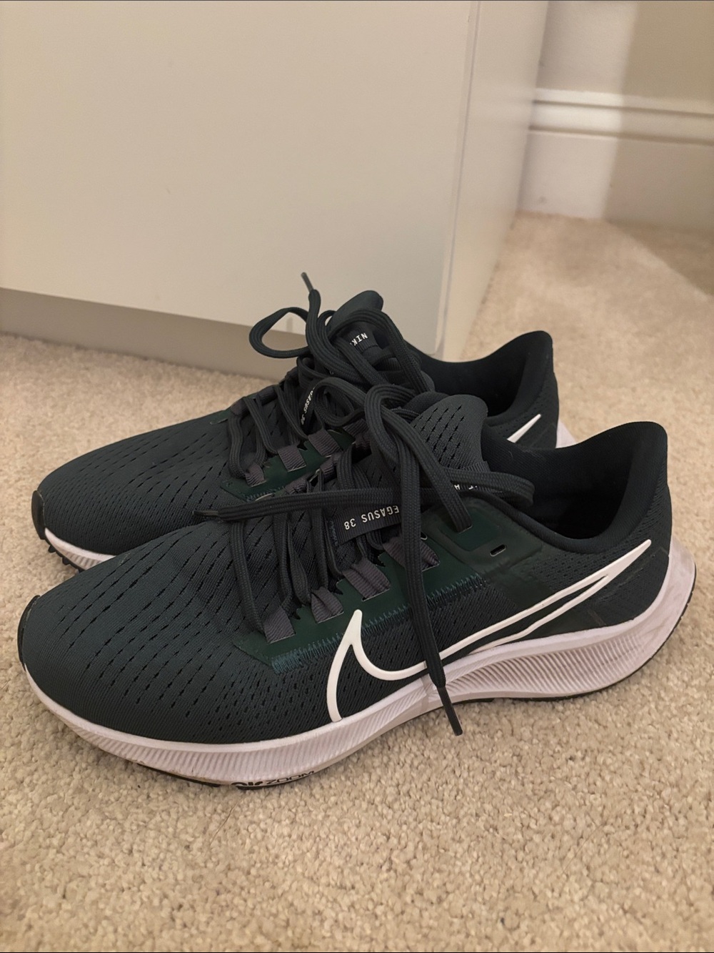 Nike Air Zoom Pegasus 38